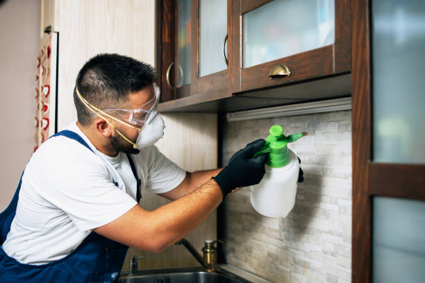 Best Residential Pest Control  in Powderly, TX