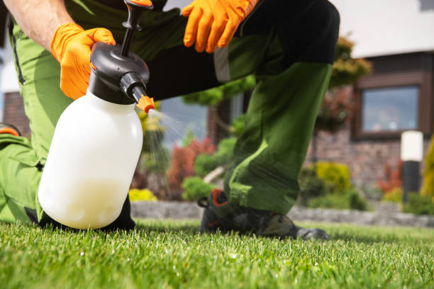 Best Affordable Pest Control Services  in Powderly, TX