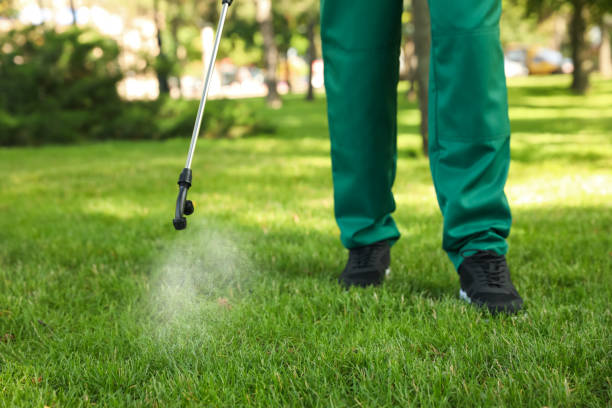 Best Best Pest Control Companies  in Powderly, TX