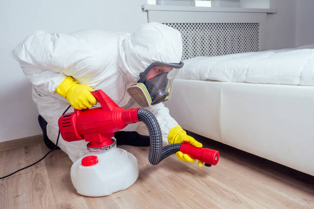 Best Termite Control Services  in Powderly, TX