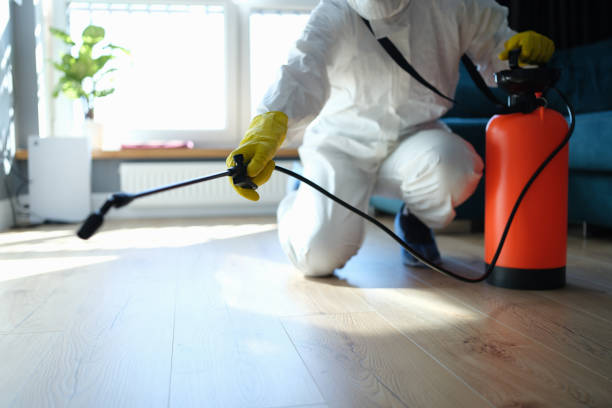 Best Pest Prevention Services  in Powderly, TX