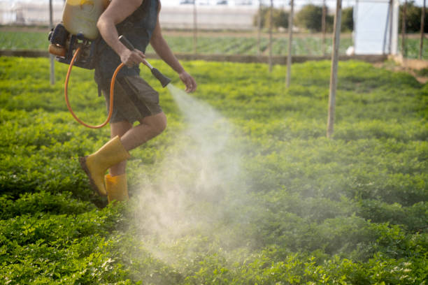 Best Best Pest Control Companies  in Powderly, TX