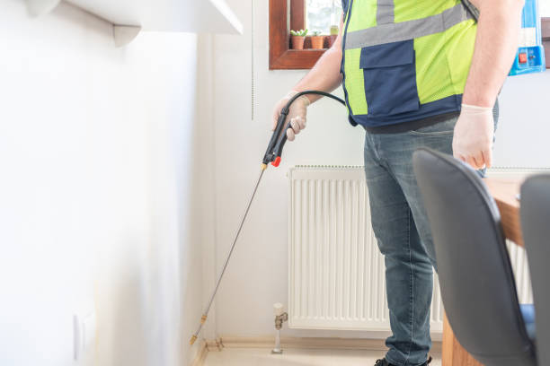 Best Local Pest Control Services  in Powderly, TX