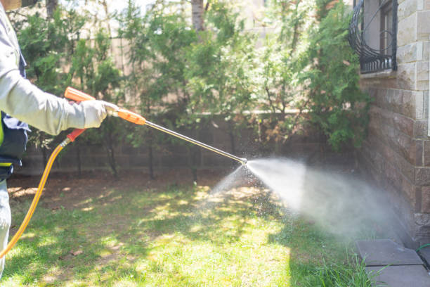 Best Mosquito Control Services  in Powderly, TX