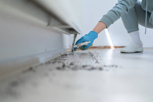 Best Exterminator Services  in Powderly, TX